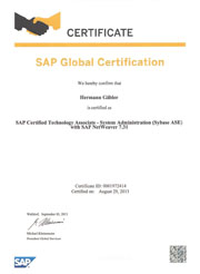 SAP Certified Technology Associate - System Administration (Sybase ASE) with SAP Netweaver 7.31