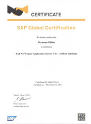 SAP Netweaver Application Server 7.31 - Delta Certificate