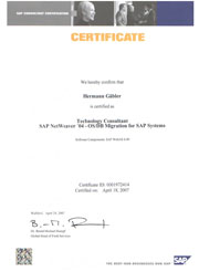 Technology Consultant SAP Netweaver ´04 - OS/DB Migration for SAP Systems