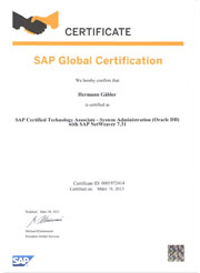 SAP Certified Technology Associate - System Administration (Oracle DB) with SAP Netweaver 7.31